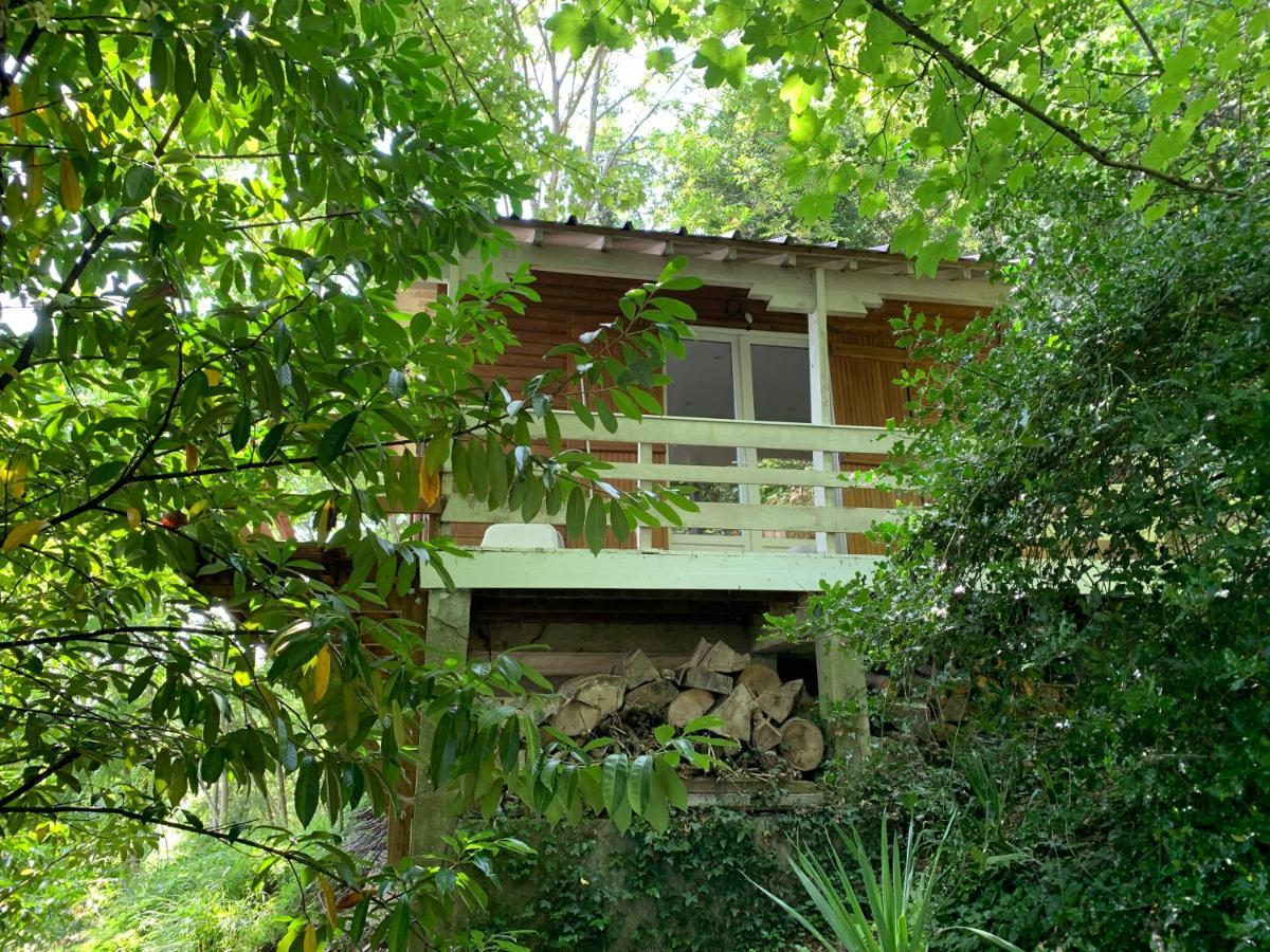 Chalet en bord de Seine Villa Le Coudray-Montceaux Buitenkant foto