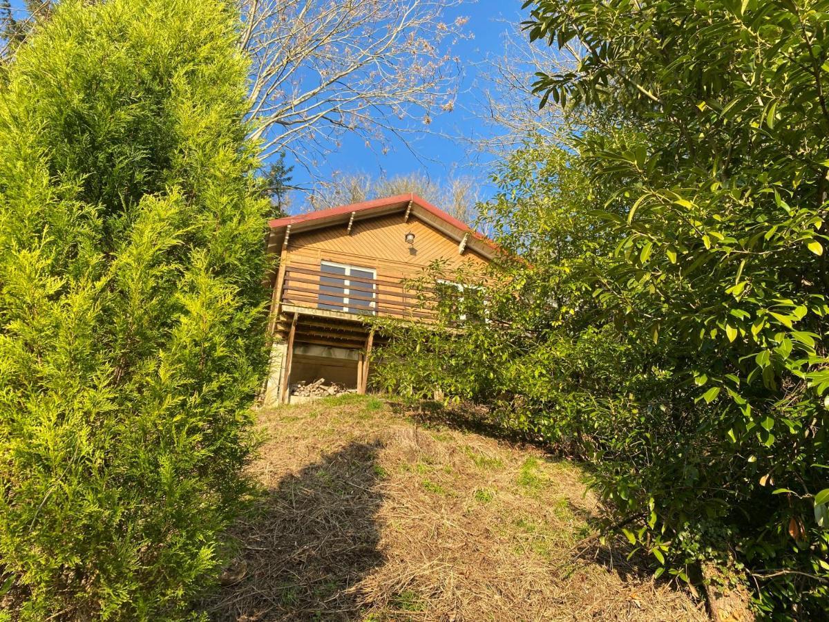 Chalet en bord de Seine Villa Le Coudray-Montceaux Buitenkant foto
